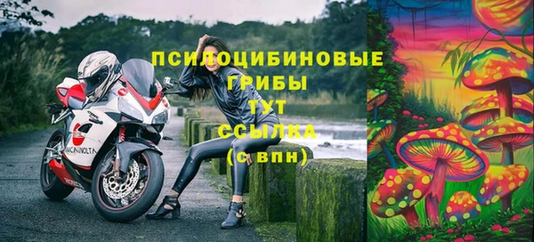 сатива Волосово