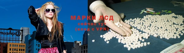 сатива Волосово