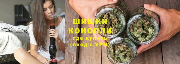 сатива Волосово