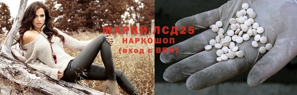 гидропоника Бородино