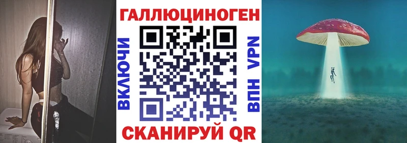 MEGA как войти  Новоржев  Галлюциногенные грибы Magic Shrooms  где купить  